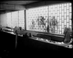 ROCK AROUND THE POOL News Clip