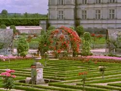 French Chateau and Garden Stock Footage