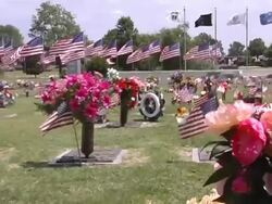 Pan across Flags at Cemetery Stock Footage