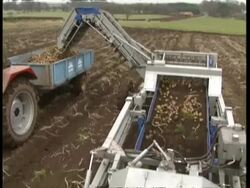 MS High angle, Tractors harvesting potatoes Stock Footage