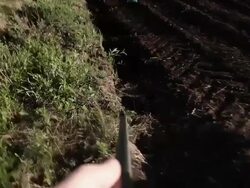 HD - Green Helmet Under Rifle Sight Stock Footage