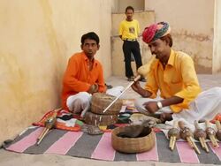 MS Snake Charmer Stock Footage