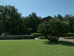 Wide Shot Pan Right - Pan along well kept green lawn to St. Louis Cathedral and statue of Andrew Jackson in Jackson Square / New Orleans Louisiana Stock Footage