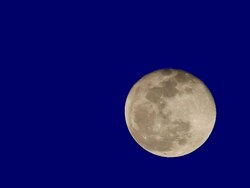 Full moon rise Stock Footage