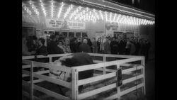 Premiere of Film 'Rare Breed' Stock Footage