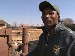 VOICED: Rhinos under threat in South Africa News Clip