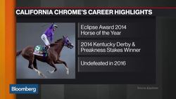 Inside California Chrome's Storied History News Clip