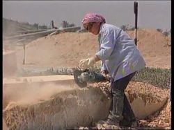 Israel - Beach sculptures News Clip