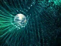 world organize star information Stock Footage