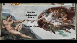 The Creation of Adam: Neurology and Neoplatonism Instructional Video