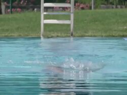 CU SLO MO Shot of Man swimming breast stroke / Davis, California, United States  Stock Footage