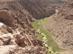 WS PAN HA Shot of green valley in desert landscape, Andes mountains / San Pedro de Atacama, Norte Grande, Chile Stock Footage