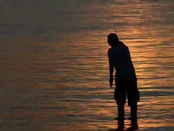 Fly fishing Stock Footage