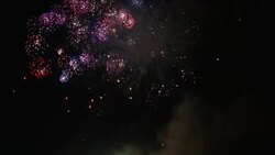 A variety of fireworks explode and sparkle in a dark sky. Stock Footage
