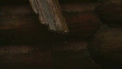 Water drips down the side of a rustic log cabin and into a rain barrel. Stock Footage