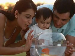 Man and woman playing with their baby with the fishbowl  Stock Footage