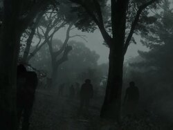 zombies in dark forest Stock Footage