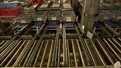 A machine drops cheese into crates at a food-processing plant in Bern, Switzerland. Stock Footage