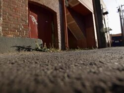 Running in an alley Stock Footage