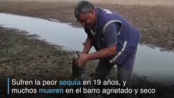 VOICED : Musulmanes en Cuba celebran el fin del ramadan News Clip