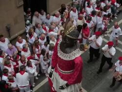 Fiesta de San Fermin 2012 Stock Footage