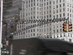 Pigeons Perched On A Traffic Light Pole Stock Footage