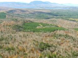 WS ARIEAL View of Forest /Maine, United States Stock Footage