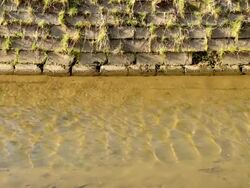 water with reflection Stock Footage