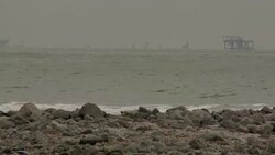 Dolphins swim beyond a rocky shoreline. Stock Footage