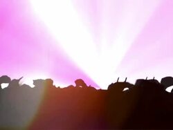 Concert Crowd Going Wild. HD Stock Footage