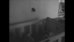 CAN777 POLICE SEARCHING FOR KILLERS OF WHITE COUPLE NEAR HARTLEY (CHEGUTU) IN RHODESIA Instructional Video