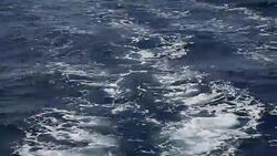 Sailing with sailboat Stock Footage