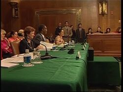 Actress Salma Hayek at hearing on violence against women News Clip
