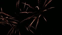 Sparkling fireworks explode in the dark sky. Stock Footage