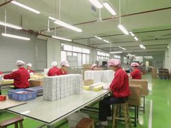 WS PAN Young women folding paper at factory / Shenzhen, Guangdong, China Stock Footage