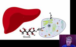 Signal Transmission and Gene Expression Instructional Video