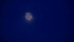 Full Moon over on night Stock Footage
