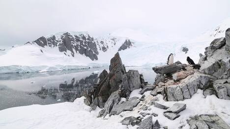 Antarctica, Antarctic Peninsula - Gerlache Strait Island