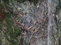 Water Falling Stock Footage