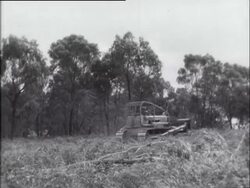 TREE FELLING - A NEW METHOD Instructional Video