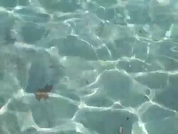 Water Surface Stock Footage