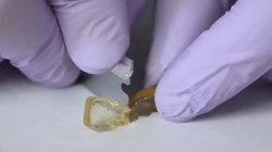 NSF Science Now: Episode 20 Instructional Video