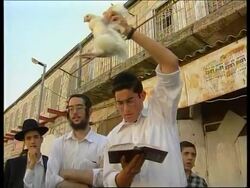 Israel - Yom Kippur ritual: Kaparot News Clip