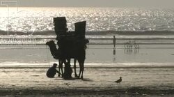 Clifton Beach, Karachi Stock Footage
