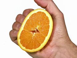 MS SLO MO Hand of man squeezing orange / Vieux Pont, Normandy,  France Stock Footage