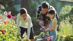 Family picking flowers in sunny garden Stock Footage
