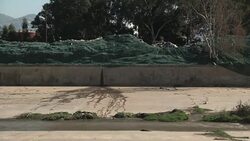 Lebanon Garbage News Clip