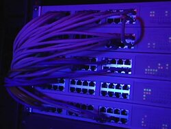 Blue Ethernet Cables Throbbing Red with Server Stock Footage