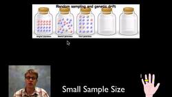 Microevolution Instructional Video