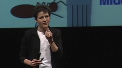 Deborah Gordon: The emergent genius of ant colonies Instructional Video